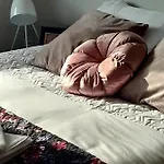 Sfera Kolobrzegu Kolberg